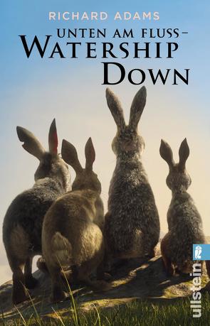 Unten am Fluss – ‚Watership Down‘ von Adams,  Richard, Strohm,  Egon