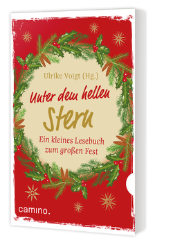 Unter dem hellen Stern von Voigt,  Ulrike