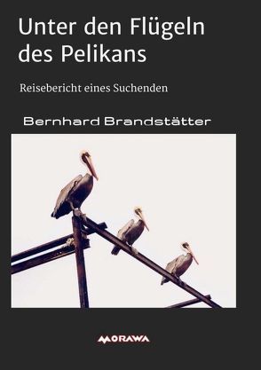 Unter den Flügeln des Pelikans von Brandstätter,  Bernhard