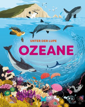 Unter der Lupe: Ozeane von Bloggs,  Josy, Kugler,  Frederik, Richards,  Jon