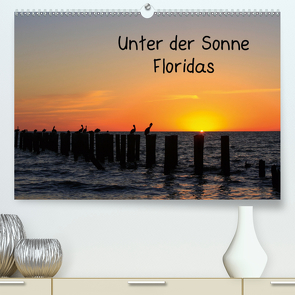 Unter der Sonne Floridas (Premium, hochwertiger DIN A2 Wandkalender 2021, Kunstdruck in Hochglanz) von Haberstock,  Matthias