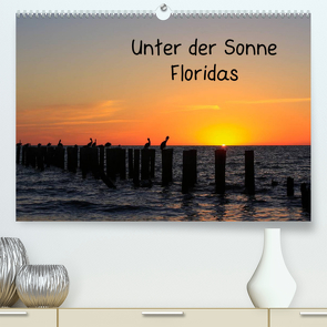 Unter der Sonne Floridas (Premium, hochwertiger DIN A2 Wandkalender 2022, Kunstdruck in Hochglanz) von Haberstock,  Matthias