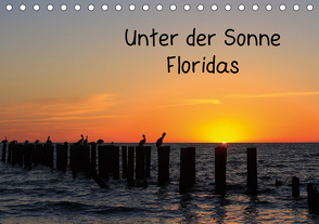 Unter der Sonne Floridas (Tischkalender 2021 DIN A5 quer) von Haberstock,  Matthias