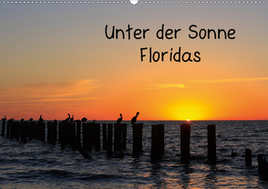 Unter der Sonne Floridas (Wandkalender 2021 DIN A2 quer) von Haberstock,  Matthias