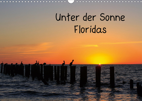 Unter der Sonne Floridas (Wandkalender 2021 DIN A3 quer) von Haberstock,  Matthias