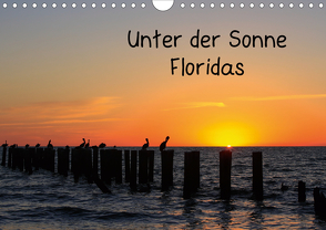 Unter der Sonne Floridas (Wandkalender 2021 DIN A4 quer) von Haberstock,  Matthias