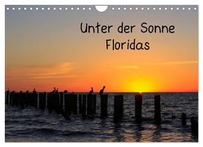 Unter der Sonne Floridas (Wandkalender 2024 DIN A4 quer), CALVENDO Monatskalender von Haberstock,  Matthias