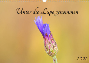 Unter die Lupe genommen (Wandkalender 2022 DIN A3 quer) von Andreas Lederle,  Kevin