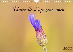 Unter die Lupe genommen (Wandkalender 2022 DIN A4 quer) von Andreas Lederle,  Kevin