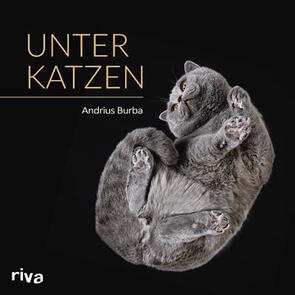 Unter Katzen von Burba,  Andrius