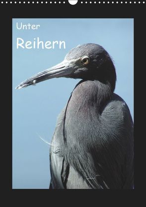 Unter Reihern (Wandkalender 2019 DIN A3 hoch) von Kreissig,  Katharina