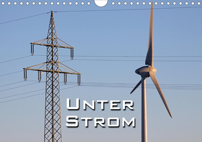 Unter Strom (Wandkalender 2021 DIN A4 quer) von Berg,  Martina