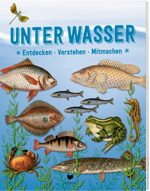 UNTER WASSER von roots, van der Avoort,  Birgit