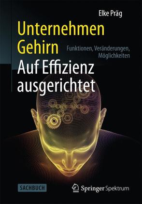 Unternehmen Gehirn: Auf Effizienz ausgerichtet von Präg,  Elke