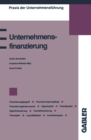 Unternehmensfinanzierung von Dornieden,  Ulrich