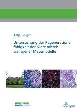 Untersuchung der Regenerationsfähigkeit der Niere mittels transgener Mausmodelle von Berger,  Katja