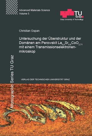 Untersuchung der Überstruktur und der Domänen am Perowskit La0,4Sr0,6CoO2,71 mit einem Transmissionselektronenmikroskop von Gspan,  Christian