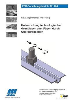 Untersuchung technologischer Grundlagen zum Fügen durch Querdurchsetzen von Hahn,  Ortwin, Hälsig,  André