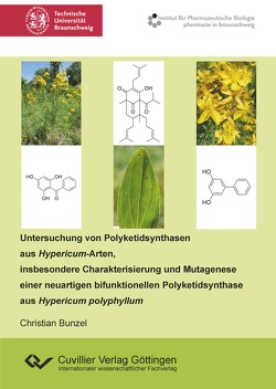 Untersuchung von Polyketidsynthasen aus Hypericum-Arten, insbesondere Charakterisierung und Mutagenese einer neuartigen bifunktionellen Polyketidsynthase aus Hypericum polyphyllum von Bunzel,  Christian