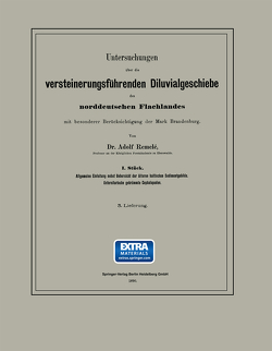 Untersuchungen über die versteinerungsführenden Diluvialgeschiebe des norddeutschen Flachlandes mit besonderer Berücksichtigung der Mark Brandenburg von Remelé,  Adolf