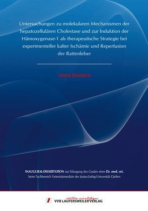 Untersuchungen zu molekularen Mechanismen der hepatozellulären Cholestase und zur Induktion der Hämoxygenase-1 als therapeutische Strategie bei experimenteller kalter Ischämie und Reperfusion der Rattenleber von Krienen,  Anna