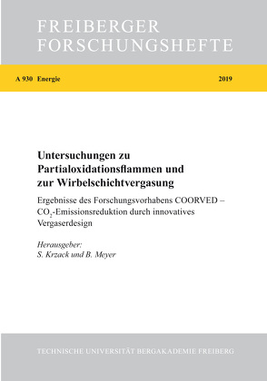 Untersuchungen zu Partialoxidationsflammen und zur Wirbelschichtvergasung von Krzack,  Steffen, Meyer,  Bernd