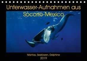 Unterwasser-Aufnahmen aus Socorro-Mexico (Tischkalender 2019 DIN A5 quer) von Caballero,  Sascha