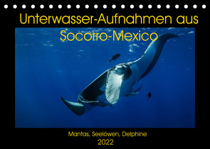 Unterwasser-Aufnahmen aus Socorro-Mexico (Tischkalender 2022 DIN A5 quer) von Caballero,  Sascha