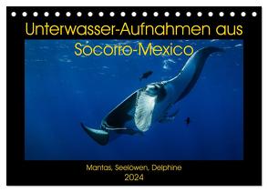 Unterwasser-Aufnahmen aus Socorro-Mexico (Tischkalender 2024 DIN A5 quer), CALVENDO Monatskalender von Caballero,  Sascha