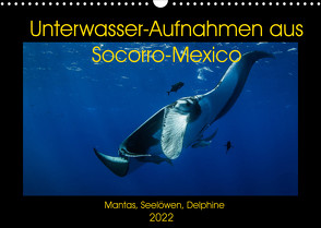 Unterwasser-Aufnahmen aus Socorro-Mexico (Wandkalender 2022 DIN A3 quer) von Caballero,  Sascha