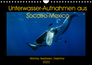 Unterwasser-Aufnahmen aus Socorro-Mexico (Wandkalender 2022 DIN A4 quer) von Caballero,  Sascha