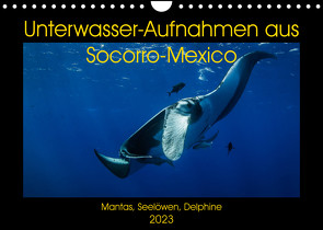 Unterwasser-Aufnahmen aus Socorro-Mexico (Wandkalender 2023 DIN A4 quer) von Caballero,  Sascha