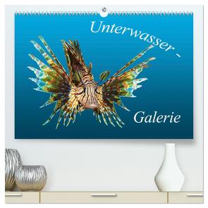 Unterwasser-Galerie (hochwertiger Premium Wandkalender 2024 DIN A2 quer), Kunstdruck in Hochglanz von Niemann,  Ute