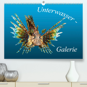 Unterwasser-Galerie (Premium, hochwertiger DIN A2 Wandkalender 2023, Kunstdruck in Hochglanz) von Niemann,  Ute