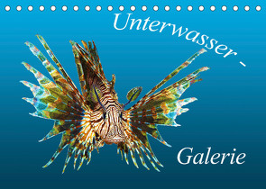 Unterwasser-Galerie (Tischkalender 2023 DIN A5 quer) von Niemann,  Ute