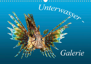 Unterwasser-Galerie (Wandkalender 2023 DIN A3 quer) von Niemann,  Ute