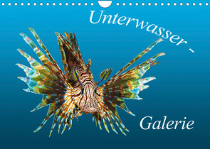 Unterwasser-Galerie (Wandkalender 2023 DIN A4 quer) von Niemann,  Ute