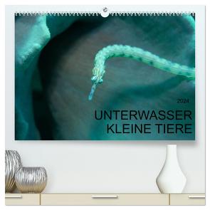 UNTERWASSER KLEINE TIERE (hochwertiger Premium Wandkalender 2024 DIN A2 quer), Kunstdruck in Hochglanz von Schulze,  Karsten