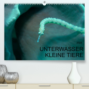 UNTERWASSER KLEINE TIERE (Premium, hochwertiger DIN A2 Wandkalender 2023, Kunstdruck in Hochglanz) von Schulze,  Karsten