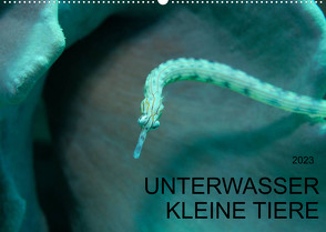 UNTERWASSER KLEINE TIERE (Wandkalender 2023 DIN A2 quer) von Schulze,  Karsten