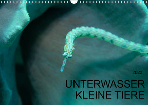 UNTERWASSER KLEINE TIERE (Wandkalender 2023 DIN A3 quer) von Schulze,  Karsten