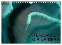 UNTERWASSER KLEINE TIERE (Wandkalender 2024 DIN A4 quer), CALVENDO Monatskalender von Schulze,  Karsten