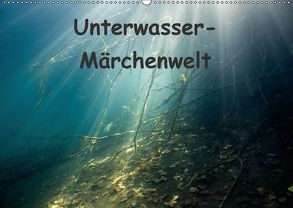 Unterwasser-Märchenwelt (Wandkalender 2018 DIN A2 quer) von Suttrop,  Christian