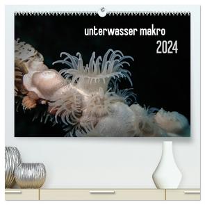 unterwasser makro 2024 (hochwertiger Premium Wandkalender 2024 DIN A2 quer), Kunstdruck in Hochglanz von Weber-Gebert,  Claudia