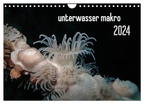 unterwasser makro 2024 (Wandkalender 2024 DIN A4 quer), CALVENDO Monatskalender von Weber-Gebert,  Claudia