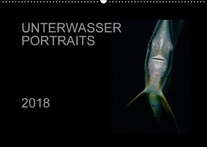 Unterwasser Portraits (Wandkalender 2018 DIN A2 quer) von Schulze / Kerstin Streicher,  Karsten