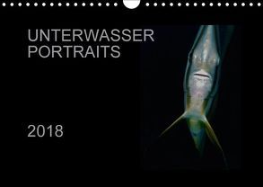 Unterwasser Portraits (Wandkalender 2018 DIN A4 quer) von Schulze / Kerstin Streicher,  Karsten