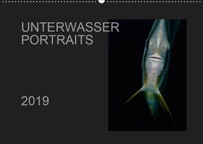 Unterwasser Portraits (Wandkalender 2019 DIN A2 quer) von Schulze / Kerstin Streicher,  Karsten