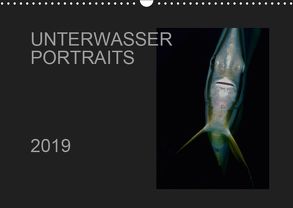 Unterwasser Portraits (Wandkalender 2019 DIN A3 quer) von Schulze / Kerstin Streicher,  Karsten