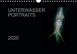 Unterwasser Portraits (Wandkalender 2020 DIN A4 quer) von Schulze / Kerstin Streicher,  Karsten